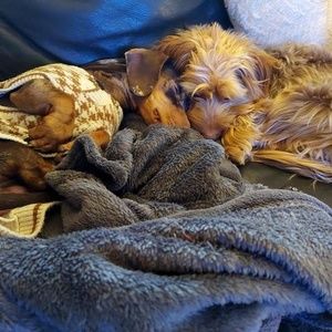 Meet your Posher, Robert